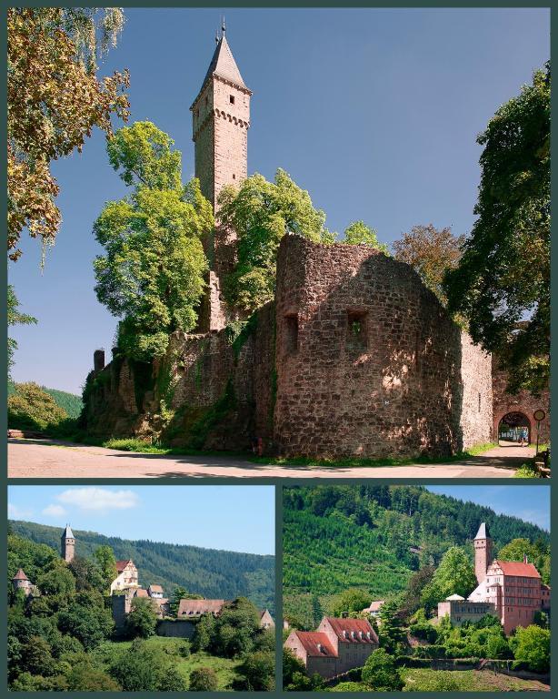 Schlosshotel Hirschhorn Luaran gambar