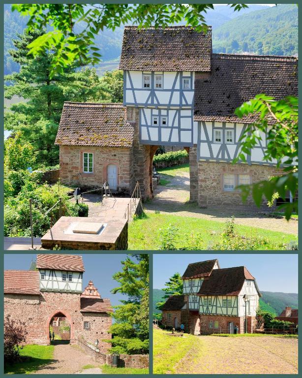 Schlosshotel Hirschhorn Luaran gambar