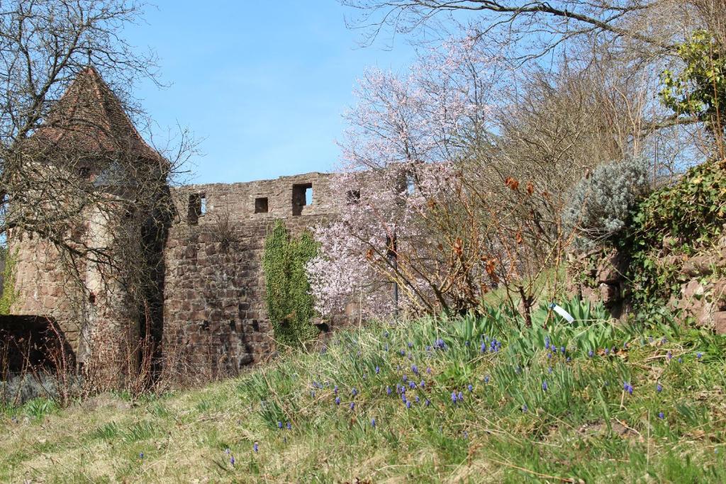 Schlosshotel Hirschhorn Luaran gambar